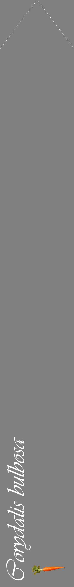 Étiquette de : Corydalis bulbosa - format c - style blanche57_simpleviv avec comestibilité simplifiée