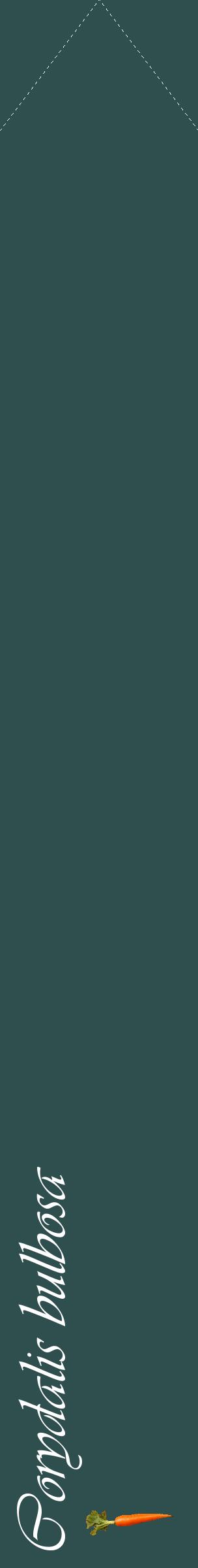 Étiquette de : Corydalis bulbosa - format c - style blanche58_simpleviv avec comestibilité simplifiée