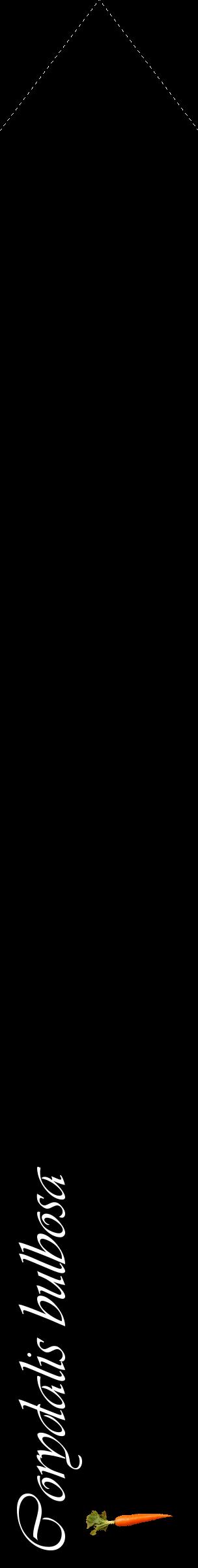 Étiquette de : Corydalis bulbosa - format c - style blanche59_simpleviv avec comestibilité simplifiée