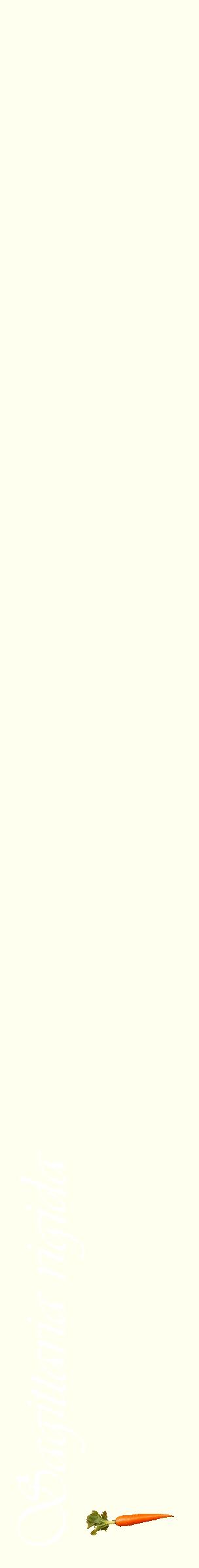 Étiquette de : Sagittaria rigida - format c - style blanche19_simpleviv avec comestibilité simplifiée
