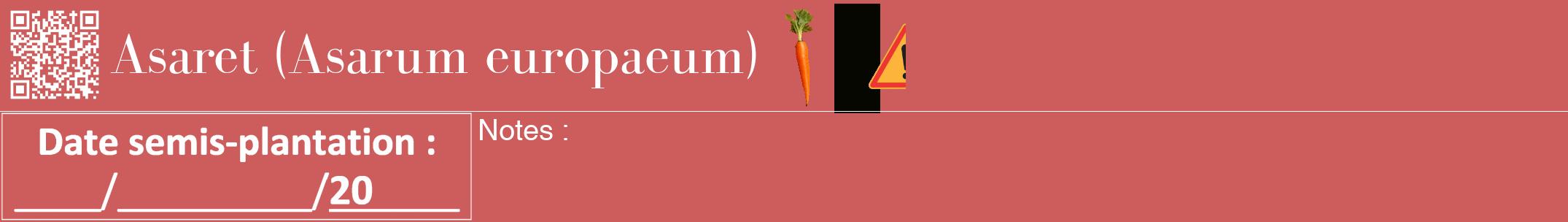 Étiquette de : Asarum europaeum - format a - style blanche35bod avec qrcode et comestibilité simplifiée
