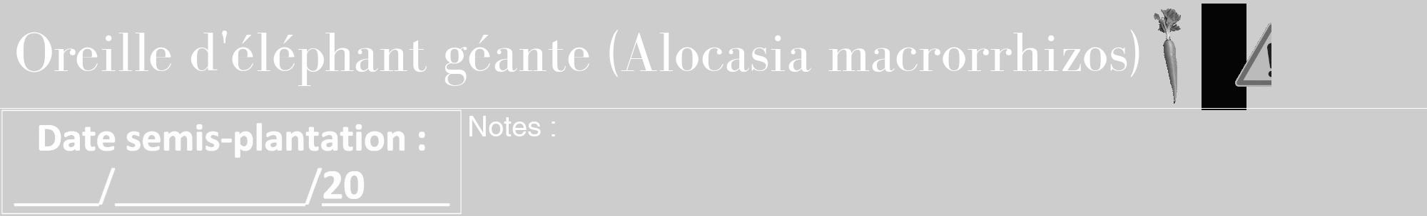 Étiquette de : Alocasia macrorrhizos - format a - style blanche41bod avec comestibilité simplifiée