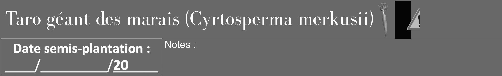 Étiquette de : Cyrtosperma merkusii - format a - style blanche43bod avec comestibilité simplifiée