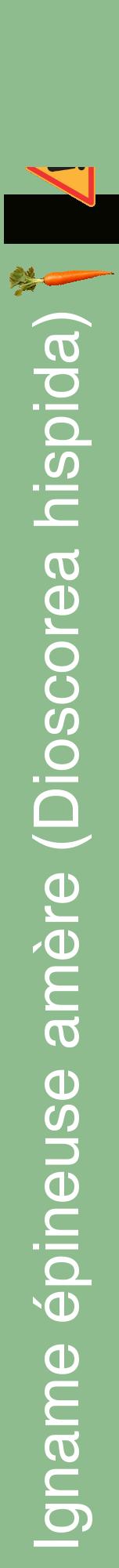 Étiquette de : Dioscorea hispida - format a - style blanche13hel avec comestibilité simplifiée
