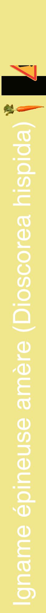 Étiquette de : Dioscorea hispida - format a - style blanche20hel avec comestibilité simplifiée