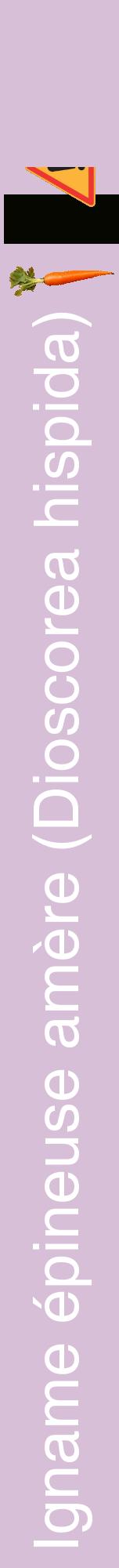 Étiquette de : Dioscorea hispida - format a - style blanche54hel avec comestibilité simplifiée