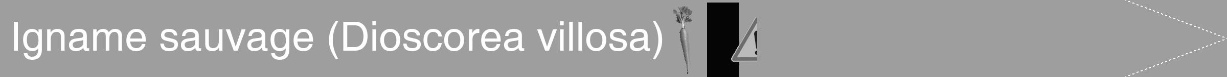 Étiquette de : Dioscorea villosa - format b - style blanche23hel avec comestibilité simplifiée