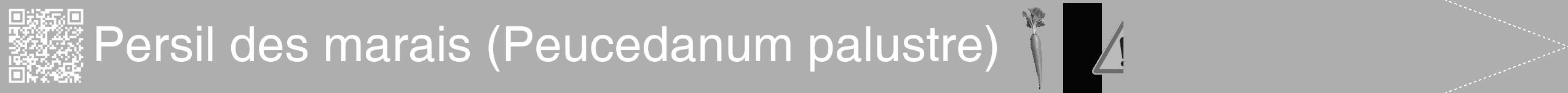 Étiquette de : Peucedanum palustre - format b - style blanche53simplehel avec qrcode et comestibilité simplifiée