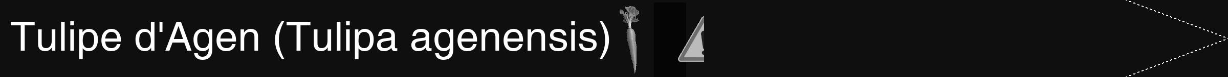 Étiquette de : Tulipa agenensis - format b - style blanche7hel avec comestibilité simplifiée
