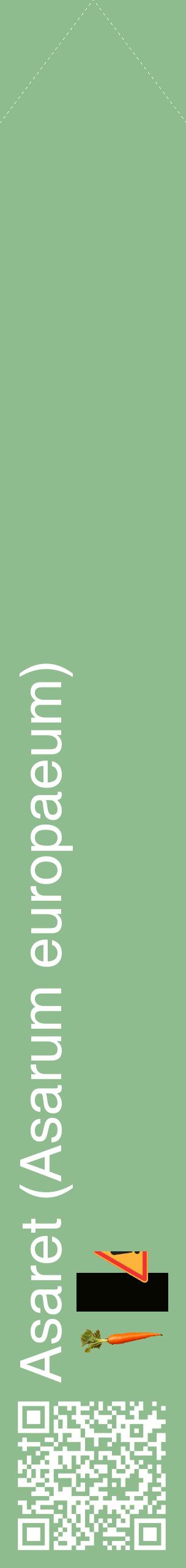 Étiquette de : Asarum europaeum - format c - style blanche13_simplehel avec qrcode et comestibilité simplifiée