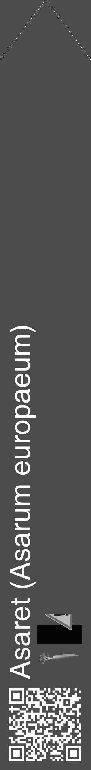 Étiquette de : Asarum europaeum - format c - style blanche27_simple_simplehel avec qrcode et comestibilité simplifiée - position verticale