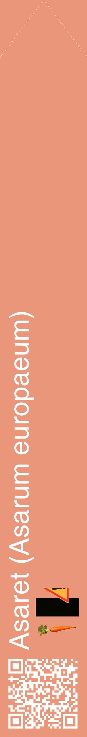 Étiquette de : Asarum europaeum - format c - style blanche37_simplehel avec qrcode et comestibilité simplifiée