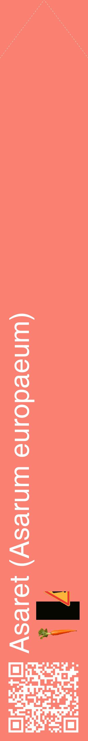 Étiquette de : Asarum europaeum - format c - style blanche38_simplehel avec qrcode et comestibilité simplifiée