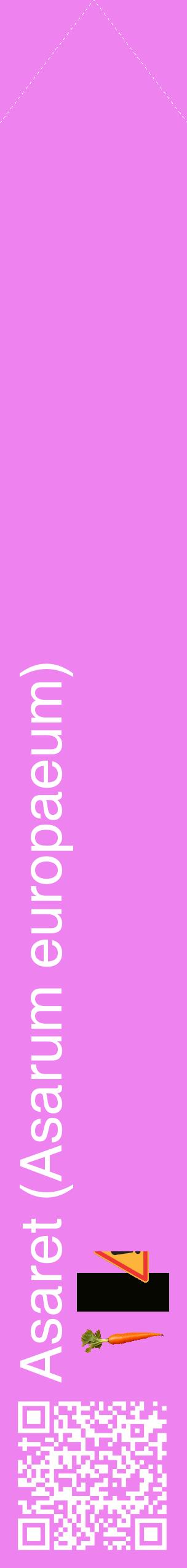 Étiquette de : Asarum europaeum - format c - style blanche53_simplehel avec qrcode et comestibilité simplifiée