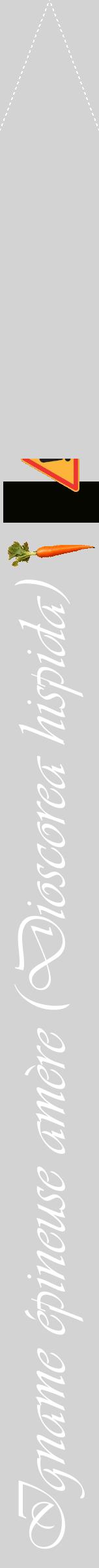 Étiquette de : Dioscorea hispida - format b - style blanche56viv avec comestibilité simplifiée