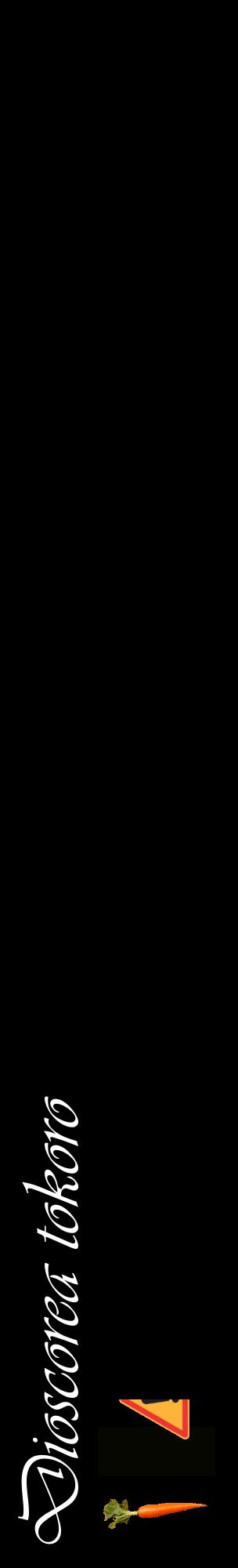 Étiquette de : Dioscorea tokoro - format c - style blanche59_basiqueviv avec comestibilité simplifiée