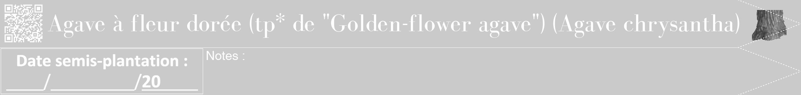 Étiquette de : Agave chrysantha - format b - style blanche21bod avec qrcode et comestibilité simplifiée