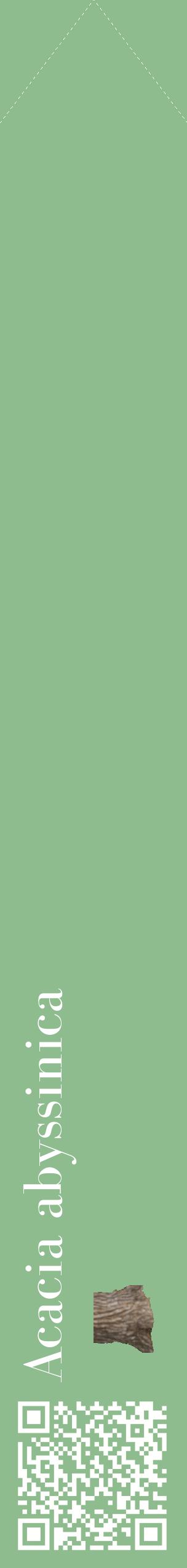 Étiquette de : Acacia abyssinica - format c - style blanche13_simplebod avec qrcode et comestibilité simplifiée