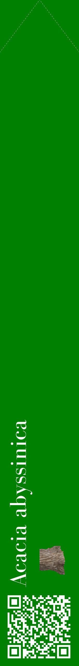 Étiquette de : Acacia abyssinica - format c - style blanche9_simplebod avec qrcode et comestibilité simplifiée