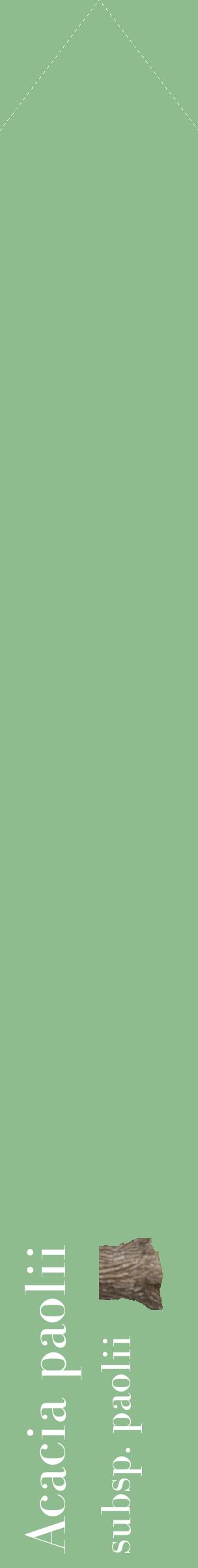 Étiquette de : Acacia paolii subsp. paolii - format c - style blanche13_simplebod avec comestibilité simplifiée