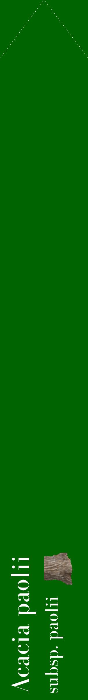 Étiquette de : Acacia paolii subsp. paolii - format c - style blanche8_simplebod avec comestibilité simplifiée