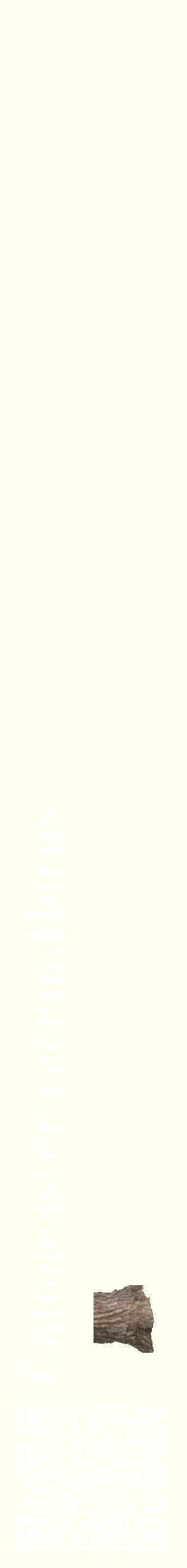 Étiquette de : Cotoneaster racemiflorus - format c - style blanche19_simplebod avec qrcode et comestibilité simplifiée