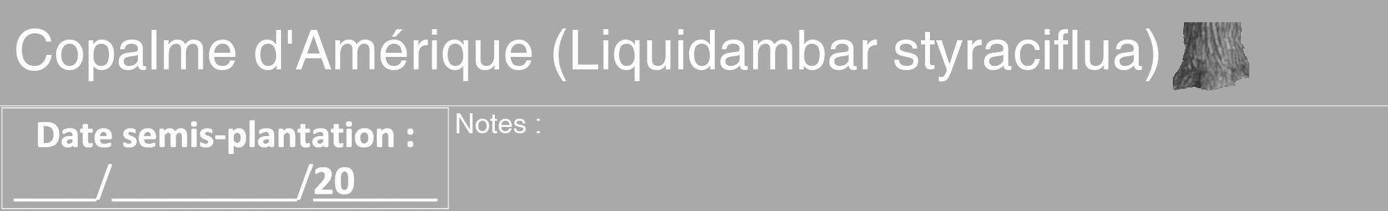 Étiquette de : Liquidambar styraciflua - format a - style blanche13hel avec comestibilité simplifiée