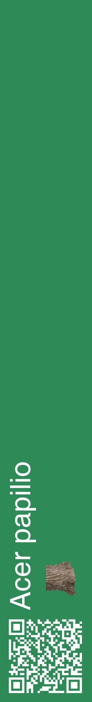 Étiquette de : Acer papilio - format c - style blanche11_basiquehel avec qrcode et comestibilité simplifiée