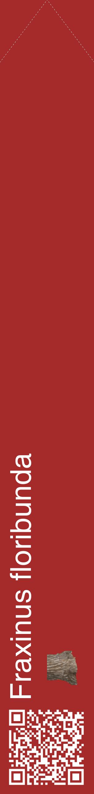 Étiquette de : Fraxinus floribunda - format c - style blanche33_simple_simplehel avec qrcode et comestibilité simplifiée - position verticale