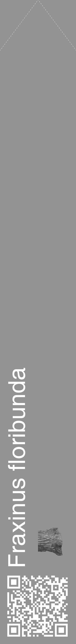 Étiquette de : Fraxinus floribunda - format c - style blanche44_simple_simplehel avec qrcode et comestibilité simplifiée - position verticale