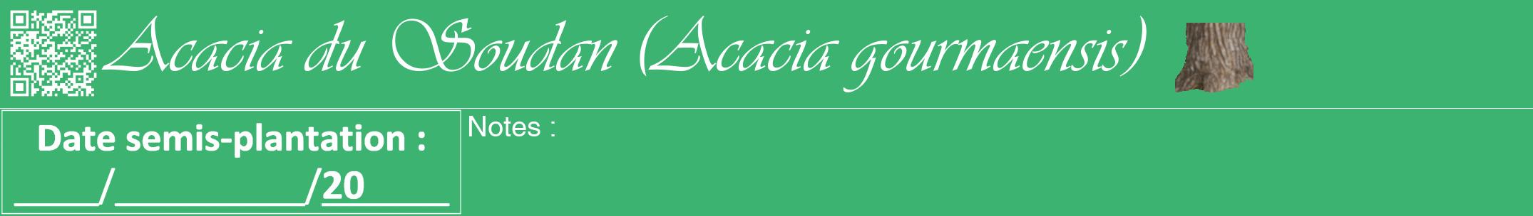 Étiquette de : Acacia gourmaensis - format a - style blanche12viv avec qrcode et comestibilité simplifiée