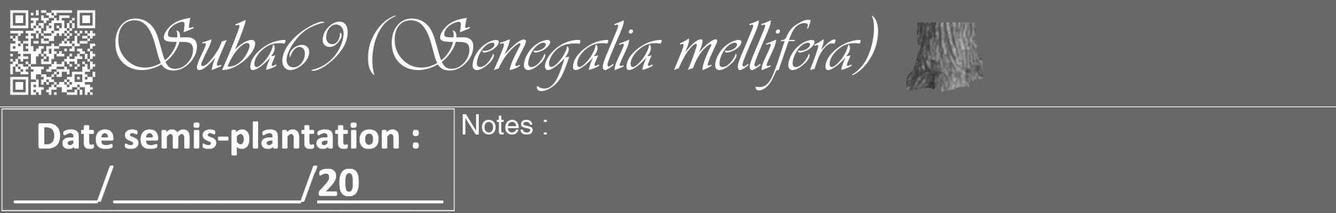 Étiquette de : Senegalia mellifera - format a - style blanche43basiqueviv avec qrcode et comestibilité simplifiée
