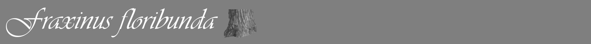 Étiquette de : Fraxinus floribunda - format a - style blanche57viv avec comestibilité simplifiée