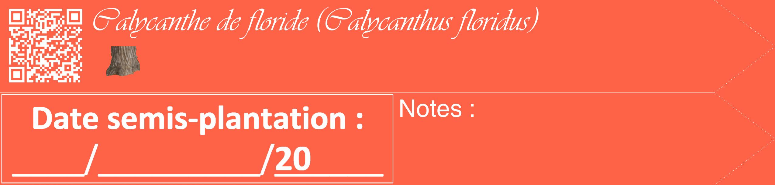 Étiquette de : Calycanthus floridus - format c - style blanche25_simple_simpleviv avec qrcode et comestibilité simplifiée