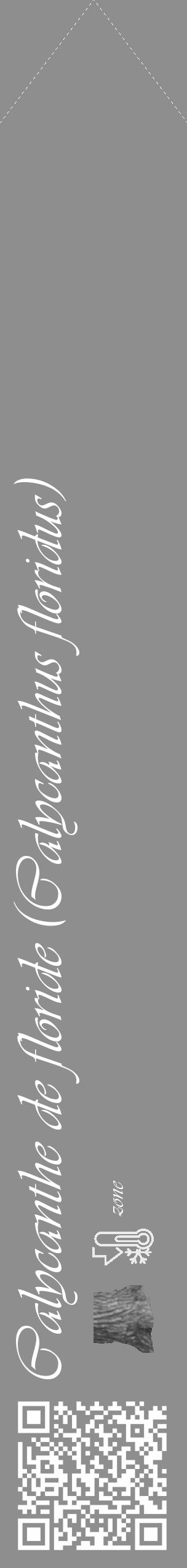 Étiquette de : Calycanthus floridus - format c - style blanche25_simple_simpleviv avec qrcode et comestibilité simplifiée - position verticale