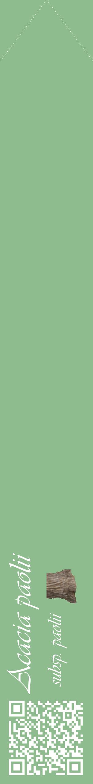Étiquette de : Acacia paolii subsp. paolii - format c - style blanche13_simpleviv avec qrcode et comestibilité simplifiée