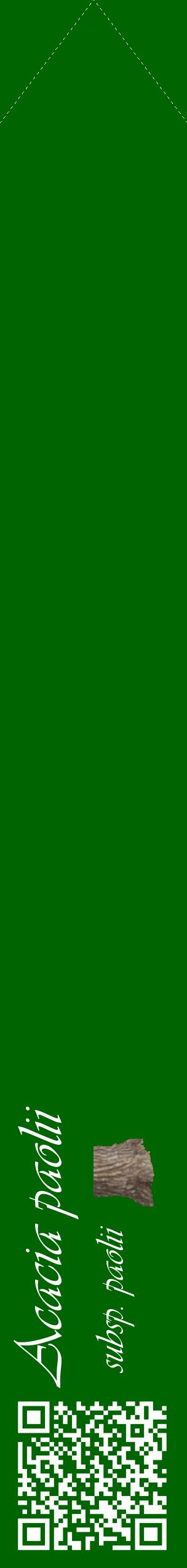 Étiquette de : Acacia paolii subsp. paolii - format c - style blanche8_simpleviv avec qrcode et comestibilité simplifiée