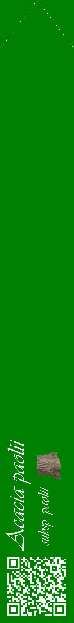 Étiquette de : Acacia paolii subsp. paolii - format c - style blanche9_simpleviv avec qrcode et comestibilité simplifiée