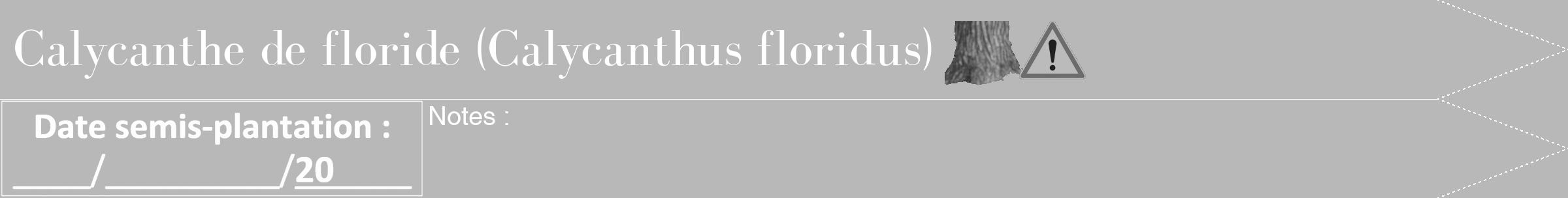 Étiquette de : Calycanthus floridus - format b - style blanche39bod avec comestibilité simplifiée