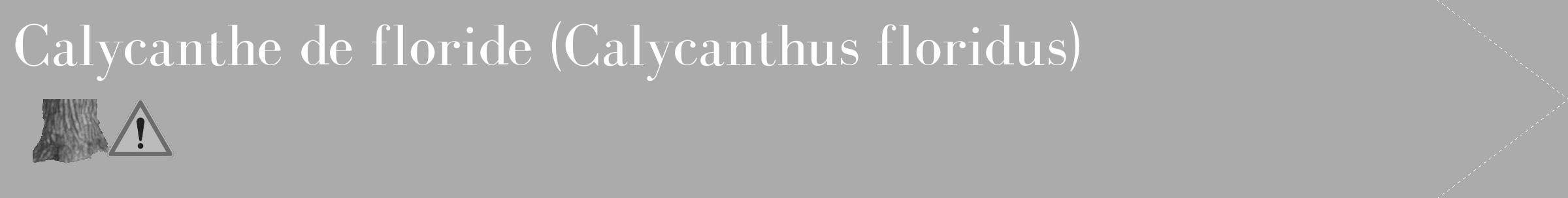 Étiquette de : Calycanthus floridus - format c - style blanche37_simple_simplebod avec comestibilité simplifiée
