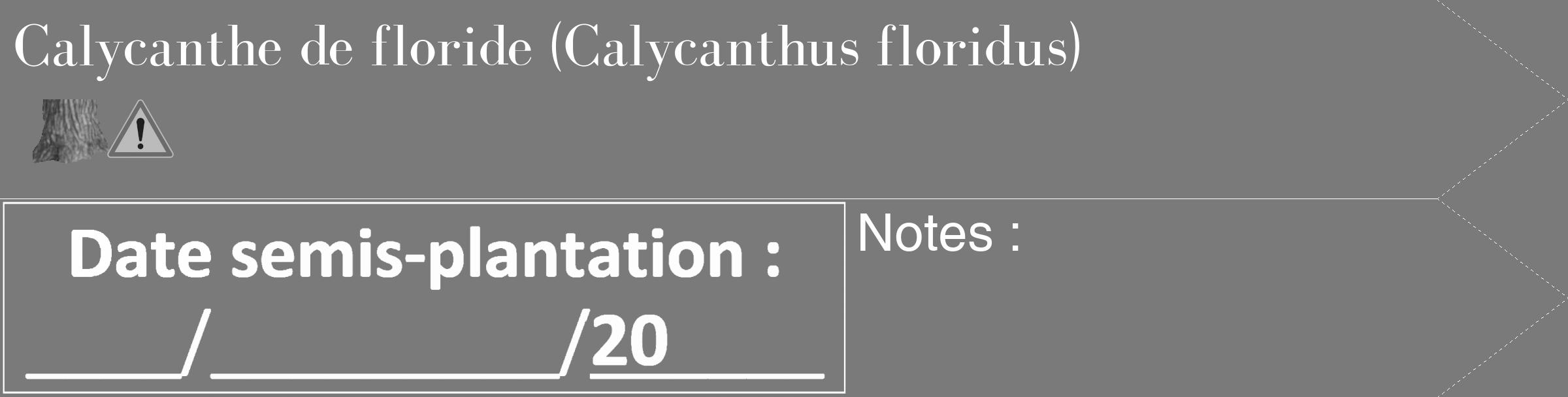 Étiquette de : Calycanthus floridus - format c - style blanche3_simple_simplebod avec comestibilité simplifiée