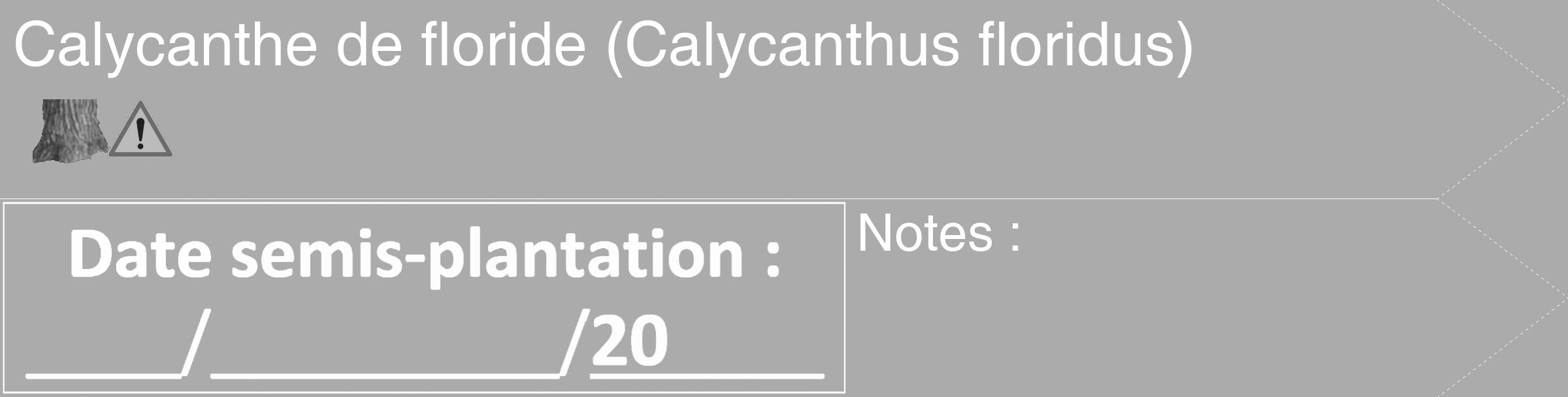 Étiquette de : Calycanthus floridus - format c - style blanche37_simple_simplehel avec comestibilité simplifiée
