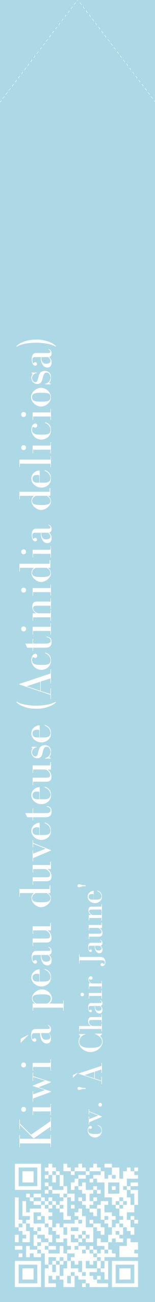 Étiquette de : Actinidia deliciosa cv. 'À Chair Jaune' - format c - style blanche0_simplebod avec qrcode et comestibilité