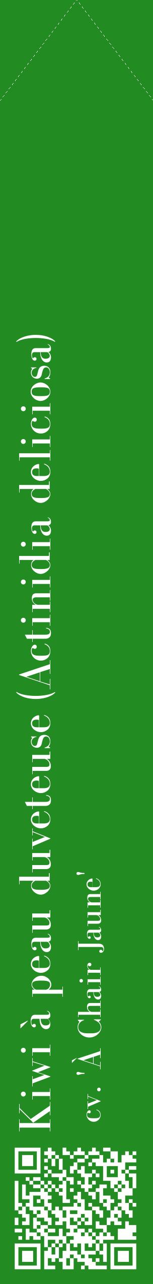 Étiquette de : Actinidia deliciosa cv. 'À Chair Jaune' - format c - style blanche10_simplebod avec qrcode et comestibilité