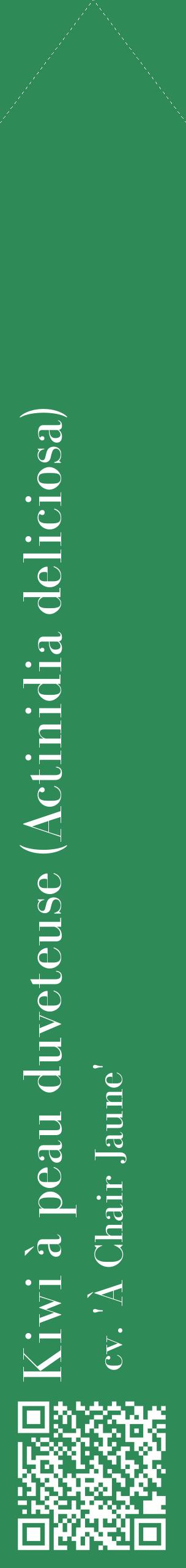 Étiquette de : Actinidia deliciosa cv. 'À Chair Jaune' - format c - style blanche11_simplebod avec qrcode et comestibilité