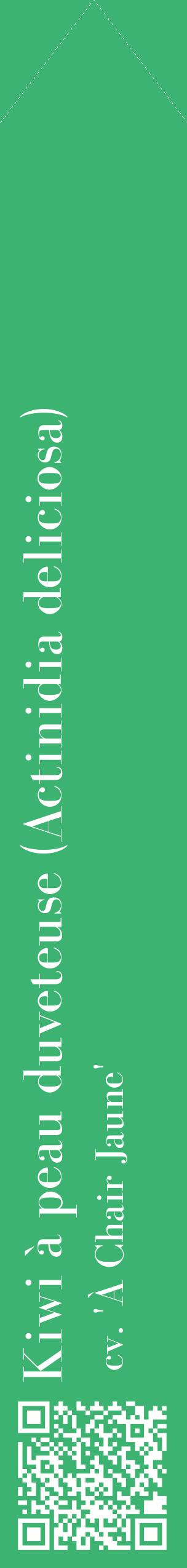 Étiquette de : Actinidia deliciosa cv. 'À Chair Jaune' - format c - style blanche12_simplebod avec qrcode et comestibilité