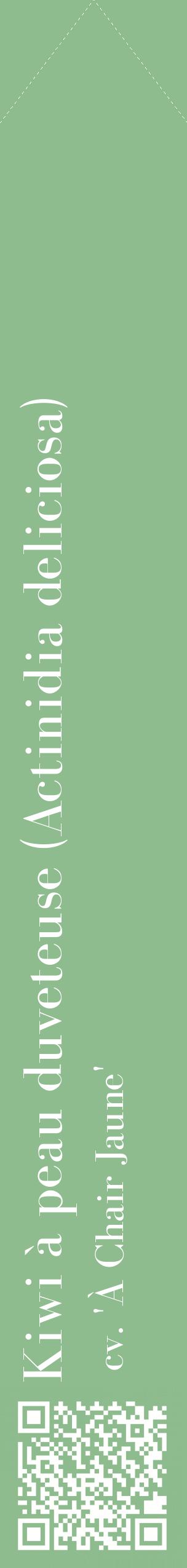 Étiquette de : Actinidia deliciosa cv. 'À Chair Jaune' - format c - style blanche13_simplebod avec qrcode et comestibilité