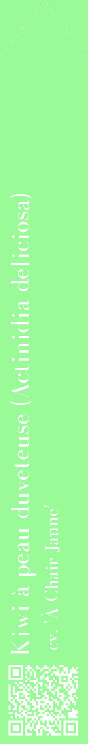 Étiquette de : Actinidia deliciosa cv. 'À Chair Jaune' - format c - style blanche14_simplebod avec qrcode et comestibilité