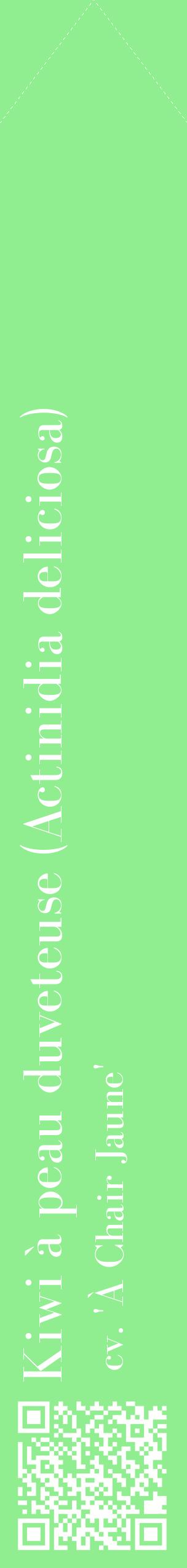 Étiquette de : Actinidia deliciosa cv. 'À Chair Jaune' - format c - style blanche15_simplebod avec qrcode et comestibilité