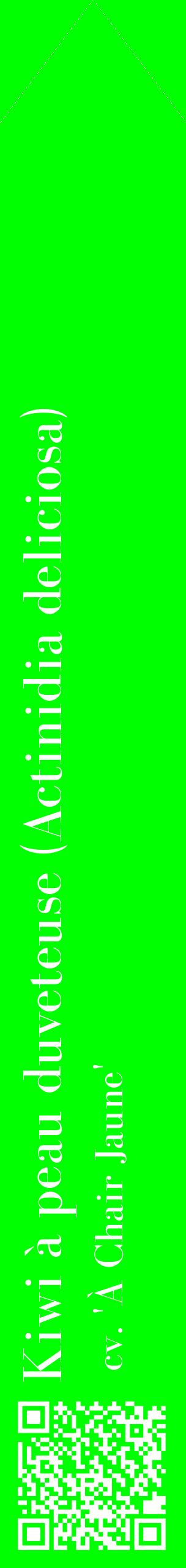 Étiquette de : Actinidia deliciosa cv. 'À Chair Jaune' - format c - style blanche16_simplebod avec qrcode et comestibilité